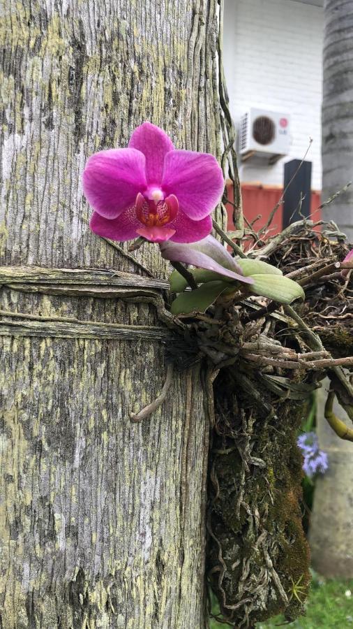 Florianópolis Janela De Marcia Bed And Breakfast المظهر الخارجي الصورة